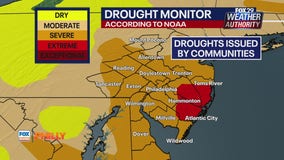 Dry conditions worsen, crops in danger | FOX Weather Philly