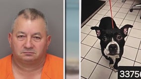 Florida man convicted of decapitating his dog ‘Dexter’ wants out of jail