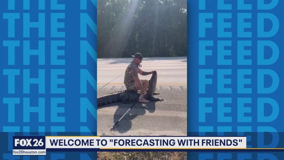Furry Friends Friday! | Forecasting with Friends