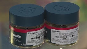 Curaleaf selling Kamala Kush, Donald OG pot strains