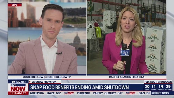 Snap food benefits ending amid shutdown