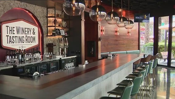 Epic Universe grand opening gives nearby businesses high hopes for local economy