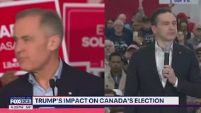 President Trump impacting Canada's Election