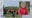 Elderly woman missing from Peninsula after birthday hike, devastating partner of 34 years
