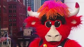 Chicago Bulls single-game tickets go on sale tomorrow