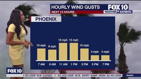 8 a.m. Weather Forecast - 10/6/24