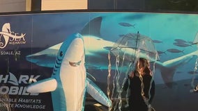 A look at Odysey Aquarium's shark mobile