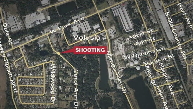 Florida man dies after shooting wife, himself: police