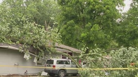 Indiana woman killed after tree falls on home identified