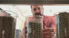 Coffee research reaches new heights with first-of-its-kind center