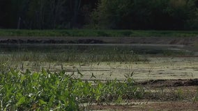 The fight to save Lake Pepin