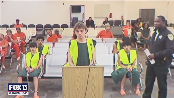 Teens allegedly involved in dog park beating appear in court