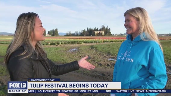 Tulip festival begins today: Here's what you'll see