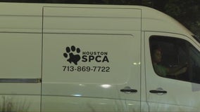 Houston SPCA to help with pets in Florida