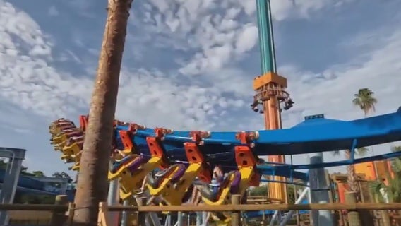 New 'Phoenix Rising' coaster opens to guests at Busch Gardens Tampa