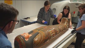 Scientists digitally 'unwrap' ancient Egyptian mummy in Chicago