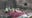 Lone survivor in deadly India plane crash