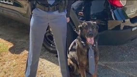 Gary police K9 helps bring missing child home safe