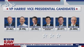 Kamala Harris' Vice Presidential candidates