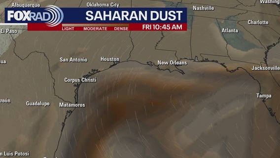 Saharan dust, furry friends, and a chat about climate change | Forecasting with Friends