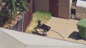 Robo police dog used in LA SWAT standoff