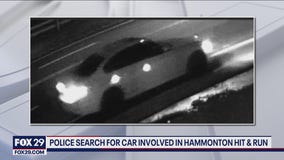 Driver sought in deadly hit-and-run