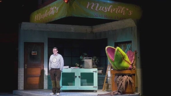 Little Shop of Horrors on stage now