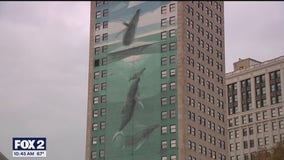 Whale mural artist frustrated over plans to cover his work again