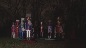 12-foot-tall nutcrackers displayed for Brightmoor Lights Holiday Festival