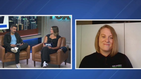 Chicago doctor weighs in after Lake Tahoe resident tests positive for plague