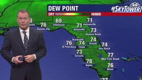 Tampa weather | steamy, muggy morning ahead