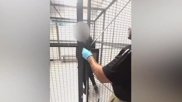 2 Volusia County students, 16 and 17, arrested for alleged school threats: Sheriff Chitwood