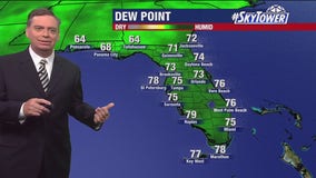 Tampa Weather | Nice weather ahead this weekend