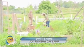 Support the farm fellows at Bonim Farm at JCC Rainbow day Camp