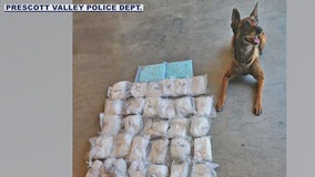 Kato the K9 helps in Prescott narcotics bust