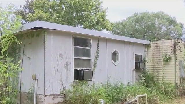 Suspected intoxicated man fires several shots into neighbor's home while aiming at tree, deputies say