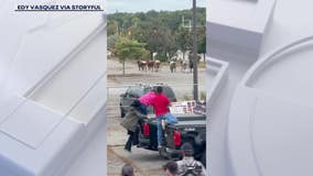 DRAMATIC VIDEO: 8 escaped rodeo bulls run through crowd, into town