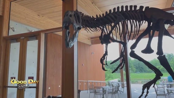 Good Day Uncut: Edelman Fossil Park & Museum of Rowan