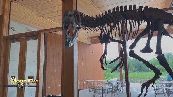 Good Day Uncut: Edelman Fossil Park & Museum of Rowan