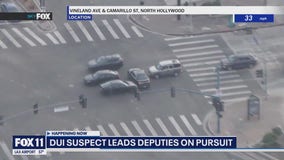 Driver nearly runs over 4 cars in LA intersection