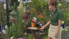 Prepare your plants for fall