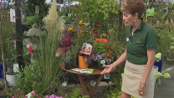 Prepare your plants for fall