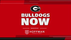 Bulldogs Now