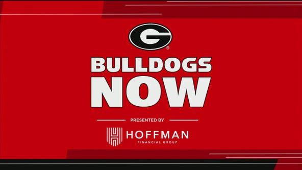 Bulldogs Now