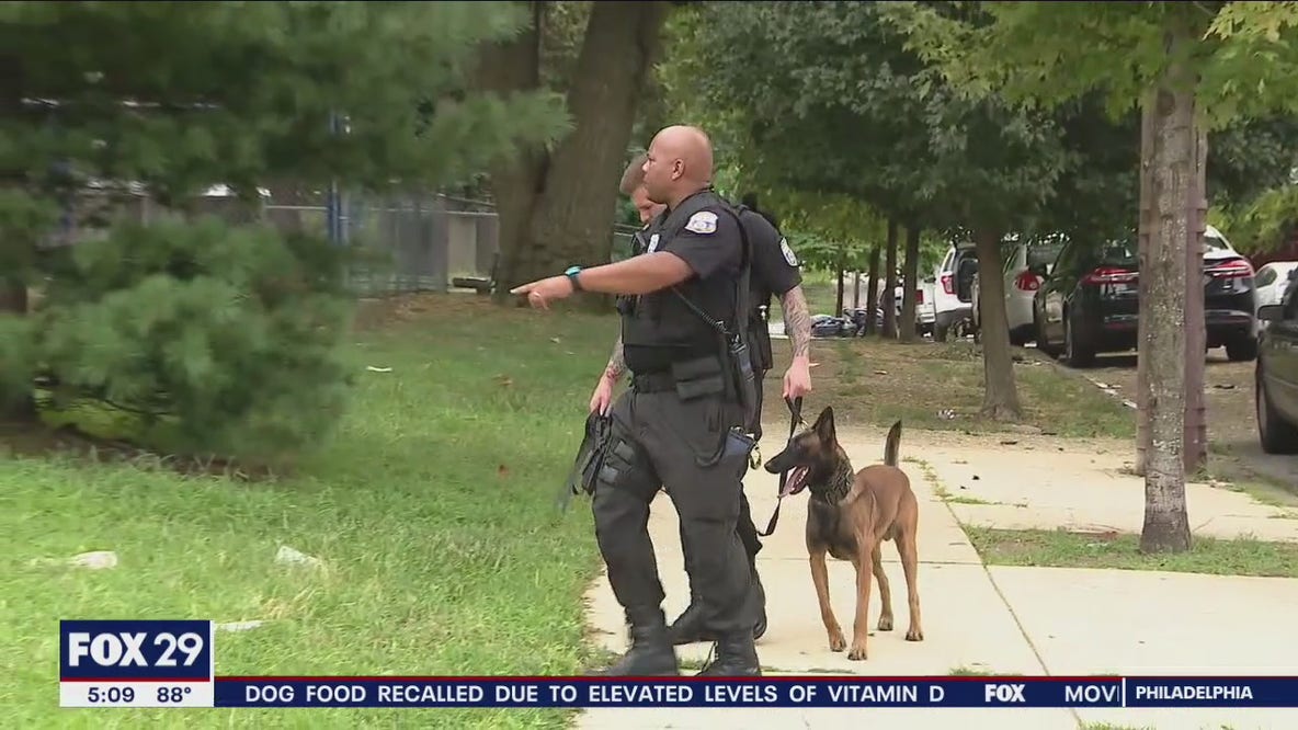 15-year-old girl shot in the head while playing basketball