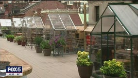 Financial district restaurant tries out greenhouses to attract customers