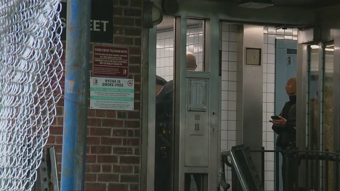 Mother of twin babies charged with murder