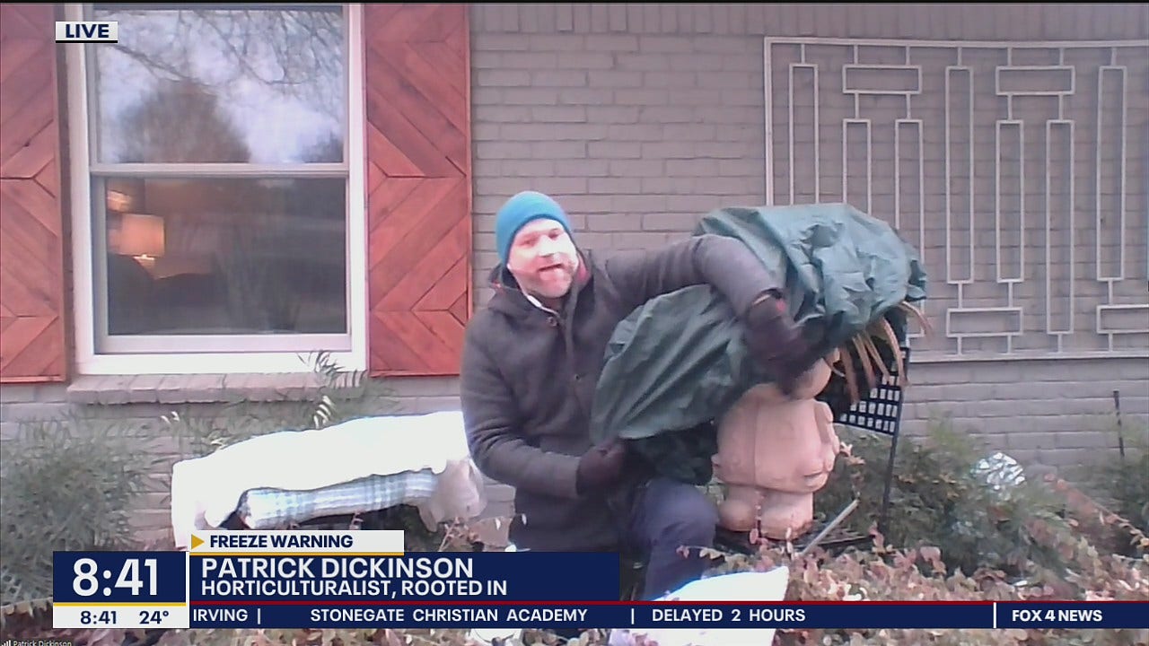 How to protect your plants and pipes from a freeze FOX 4 DallasFort