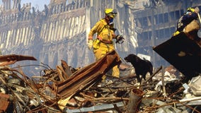 The heroic dogs of 9/11