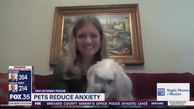 Pets reduce anxiety during pandemic